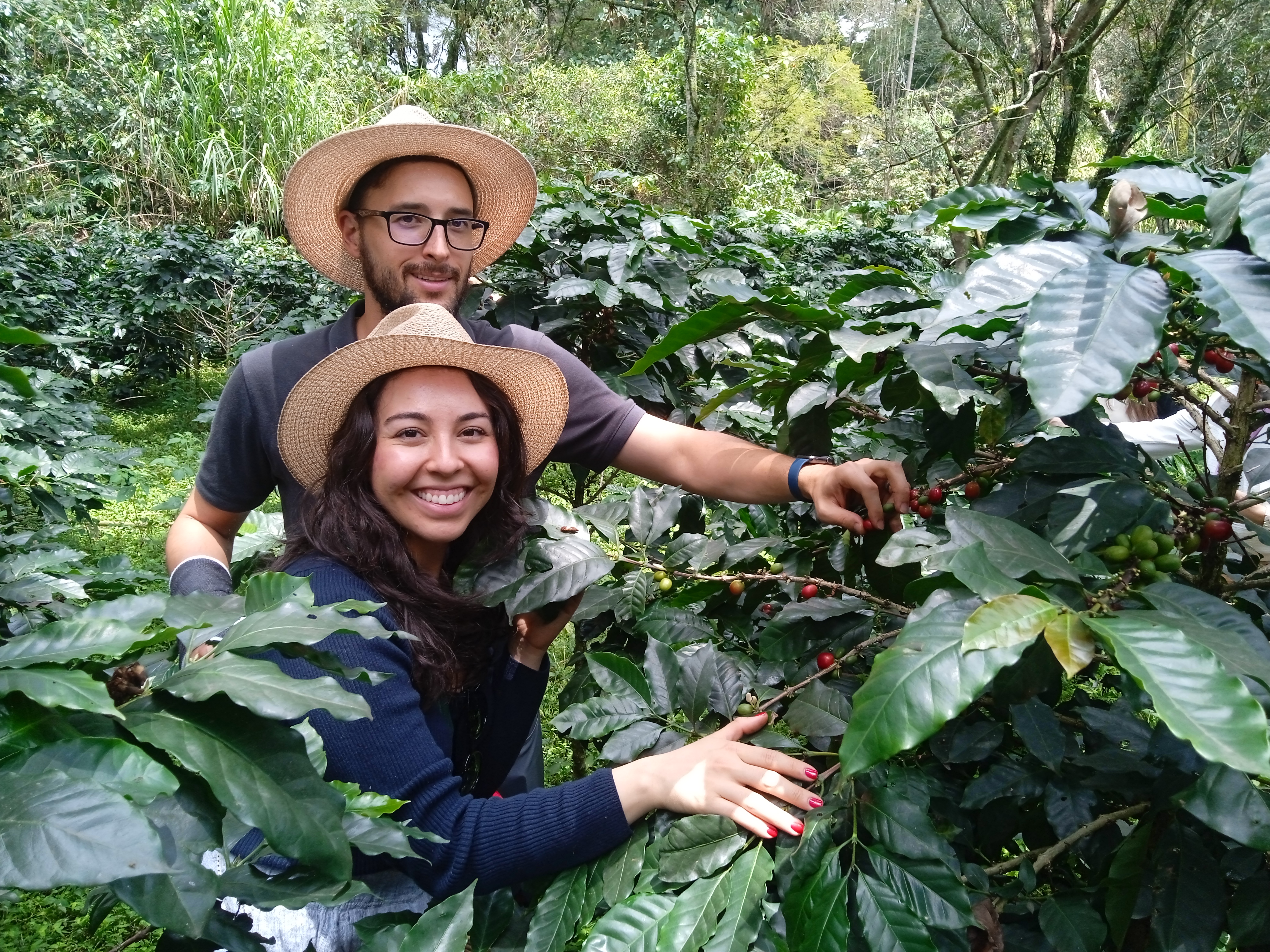 Hacienda Cafetera Coloma